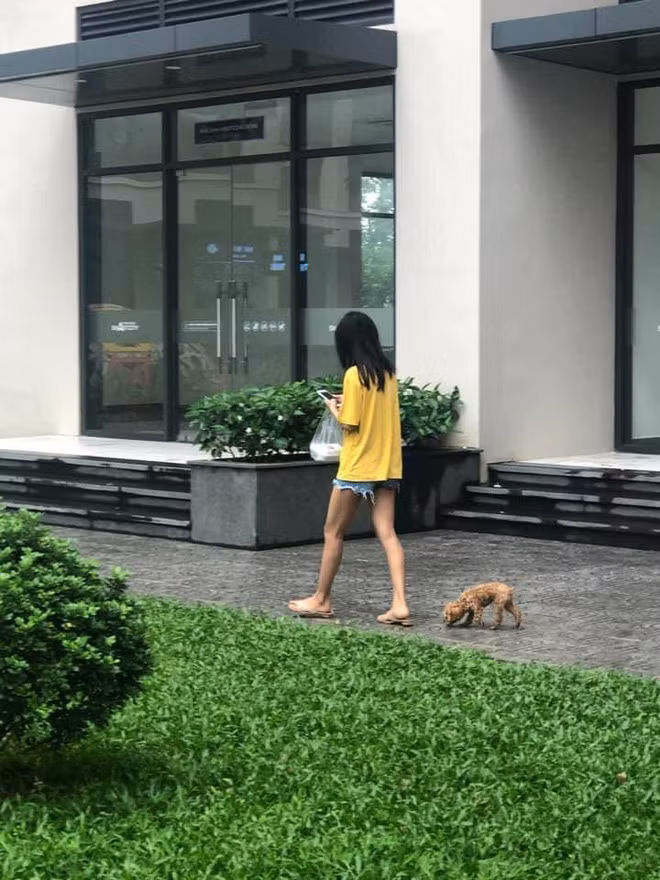 Chó, mèo là bạn thế nhưng để nuôi được chúng bạn cần đến sự đồng thuận của người ở cùng (nếu có). Một người yêu thú cưng, người còn lại ghét thì coi như... bỏ.