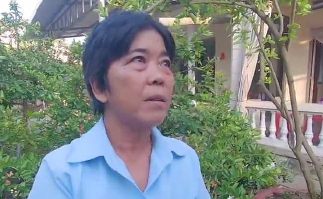 Tuy nhiên sau khi clip được lan truyền rộng rãi, có người phát hiện ra sự thật giá trị 7 tỷ đồng chỉ là trò đùa lồng tiếng của một ai đó. Những âm thanh hội thoại trong clip không phải là nói về cây hoa giấy mà là nói về một cây cảnh khác đang giữ kỷ lục Việt Nam.