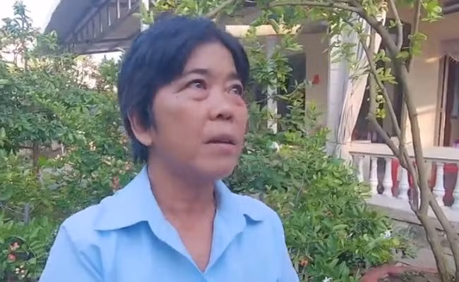 Tuy nhiên sau khi clip được lan truyền rộng rãi, có người phát hiện ra sự thật giá trị 7 tỷ đồng chỉ là trò đùa lồng tiếng của một ai đó. Những âm thanh hội thoại trong clip không phải là nói về cây hoa giấy mà là nói về một cây cảnh khác đang giữ kỷ lục Việt Nam.