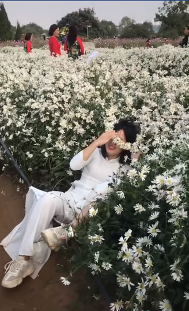 Theo như đoạn clip được chia sẻ thì có lẽ cô gái này đến vườn cúc họa mi để chụp ảnh kỷ yếu. Trong lúc mải mê tạo dáng thì không may ngã nhào về đằng sau và nằm đè lên những khóm cúc họa mi.