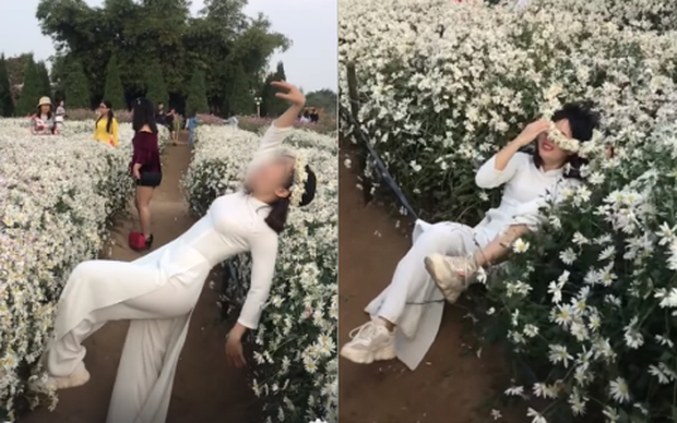 Trước đây, hình ảnh một cô gái ngã vào khóm cúc họa mi trong vườn để chụp ảnh đã làm netizen "ném đá" dữ dội.