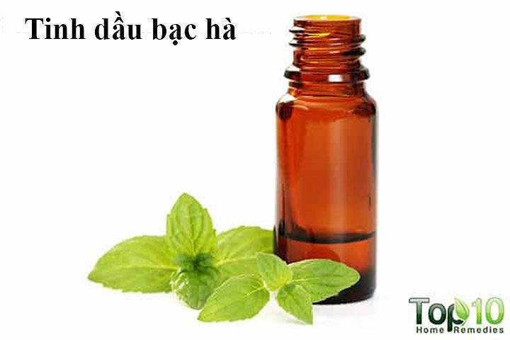 Tinh dầu bạc hà: Dầu bạc hà là một loại tinh dầu có thể giúp thúc đẩy sự phát triển của tóc. Nó làm tăng lưu lượng máu đến da đầu và trẻ hóa các nang tóc, do đó kích thích sự phát triển của tóc. Dầu này cũng giúp tái tạo các tế bào da, do đó tốt cho da đầu khô