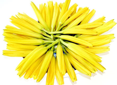 Tuyệt đối không nên sử dụng hoa hiên vàng tươi khi chưa được nấu chín.