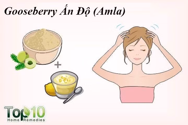 Gooseberry Ấn Độ (Amla) là một phương thuốc phổ biến được sử dụng để kiểm soát rụng tóc. Nó giúp tăng cường các nang tóc, kích thích sự tăng trưởng tóc và ngăn ngừa tóc gãy rụng, chủ yếu là do các chất chống oxy hóa và vitamin C có trong đó. Vitamin C trong lô hội cũng giúp tái tạo collagen rất quan trọng cho sự phát triển của tóc và hỗ trợ sự hấp thu sắt, nhờ đó giữ cho mái tóc của bạn khoẻ mạnh.