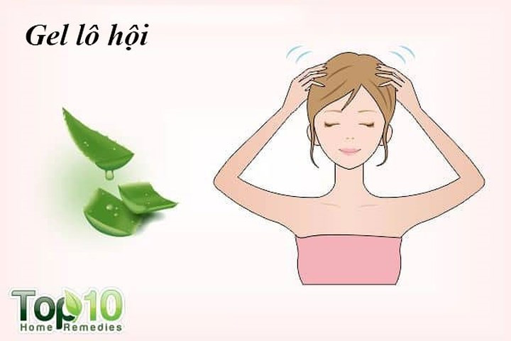 Gel lô hội là một phương thuốc hiệu quả để đối phó với các vấn đề khác nhau của tóc, bao gồm rụng tóc. Nó giúp làm sạch lỗ chân lông và cân bằng độ pH của da đầu, điều này rất quan trọng để kích thích sự phát triển của tóc. Trong thực tế, các enzyme proteolitic trong lô hội sẽ loại bỏ tế bào da chết từ da đầu, để chúng không làm tắc nghẽn nang tóc.