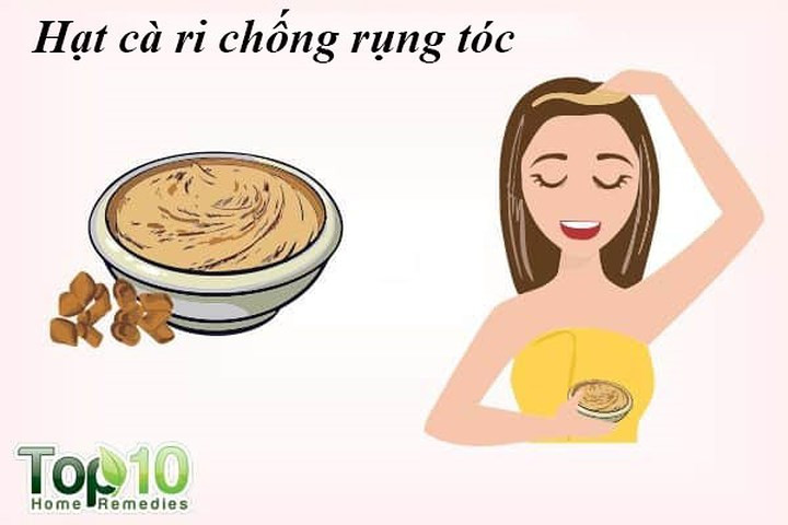 Hạt cỏ cà ri: Cỏ cà ri chứa hormone giúp tái tạo nang tóc. Chúng cũng chứa các protein và axit nicotinic kích thích sự phát triển của tóc. Hạt giống cà ri cũng có đặc tính kháng khuẩn, giúp chữa trị gàu, một nguyên nhân phổ biến gây rụng tóc.