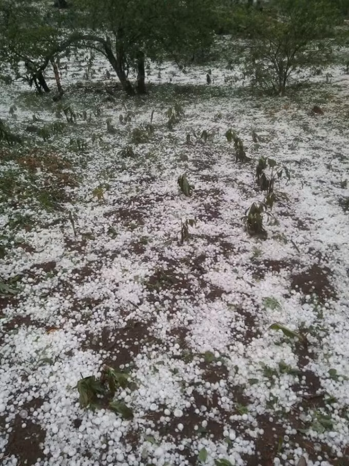 Theo thống kê của Ban chỉ huy PCTT và TKCN huyện Mộc Châu ước tỉnh thiệt hại trên địa bàn huyện Mộc Châu hơn chục tỷ đồng. Ảnh: Facebook Hoa Anh Túc.