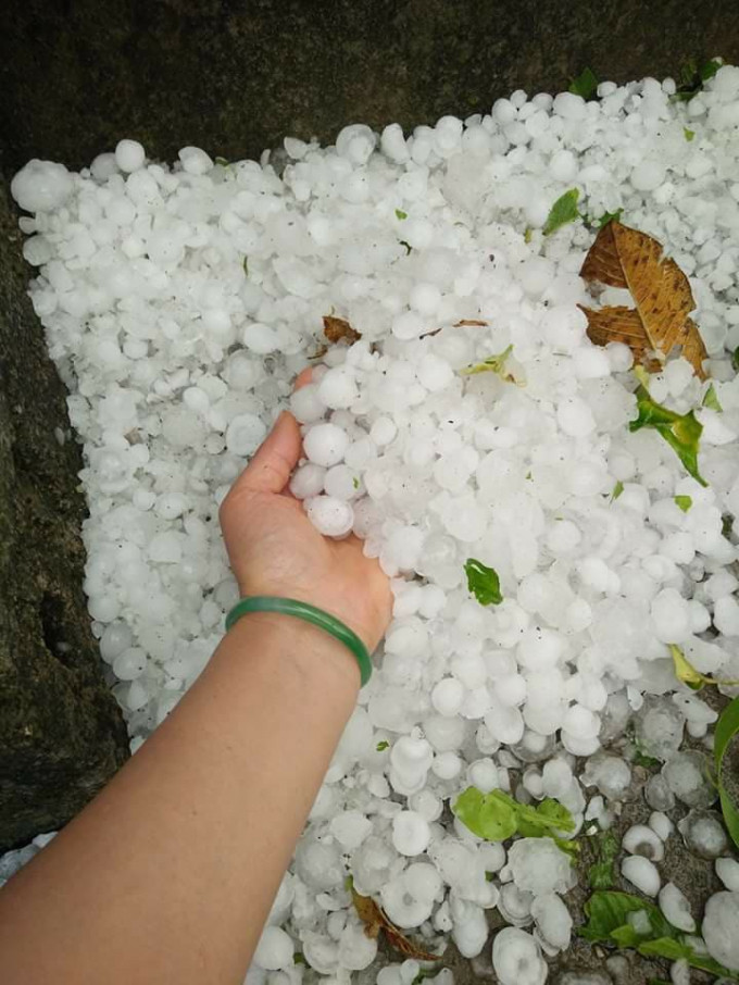 Những hạt mưa đá có đường kính lên tới 2cm thậm chí to hơn nữa. Ảnh: Facebook Hoa Anh Túc.