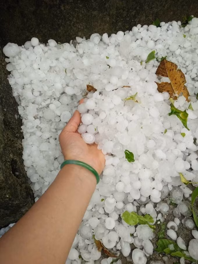 Những hạt mưa đá có đường kính lên tới 2cm thậm chí to hơn nữa. Ảnh: Facebook Hoa Anh Túc.