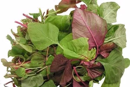  Rau dền Các nhà nghiên cứu cho rằng hàm lượng canxi trong rau dền cao hơn hẳn so với sữa bò. Không chỉ vậy, lượng vitamin K dồi dào trong rau dền giúp cơ thể hấp thụ canxi một cách hiệu quả. 