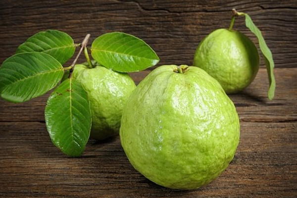 Ổi là thức quả giàu vitamin C nhất. Hàm lượng vitamin C trong ổi cao gấp 4 lần trong cam. 100 g ổi chứa tới 200 mg vitamin C. Ổi chứa nhiều chất xơ, ít chất béo bão hòa, ít cholesterol và muối natri.