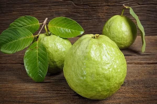 Ổi là thức quả giàu vitamin C nhất. Hàm lượng vitamin C trong ổi cao gấp 4 lần trong cam. 100 g ổi chứa tới 200 mg vitamin C. Ổi chứa nhiều chất xơ, ít chất béo bão hòa, ít cholesterol và muối natri.