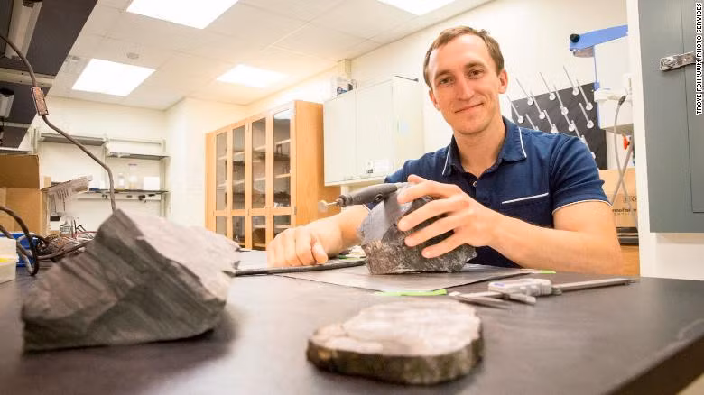 Gulbranson, một giáo sư tại Đại học Wisconsin-Milwaukee, đã tìm kiếm hóa thạch tại Nam Cực được 7 năm. Trong chuyến đi từ tháng 11/2016 đến 1/2017, họ phát hiện ra hóa thạch của 13 loại cây và rất nhiều địa điểm có hóa thạch các loại lá. Ảnh: CNN.