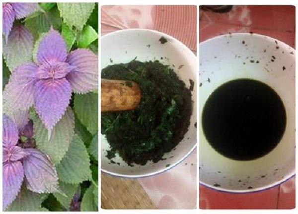Trị nám da bằng mặt nạ lá tía tô (Ảnh minh họa).