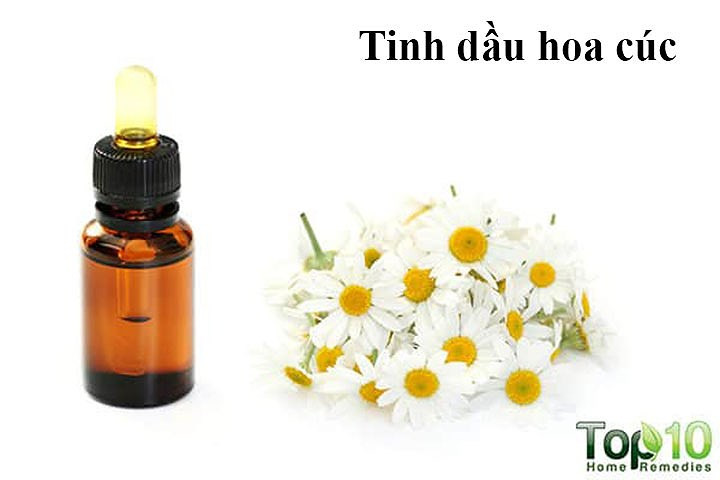 Tinh dầu hoa cúc: Dầu hoa cúc cũng có lợi cho sức khỏe tóc của bạn. Nó có thể giúp chống gàu, da đầu ngứa, viêm da, bệnh vẩy nến, các tình trạng da đầu khác và ngăn ngừa rụng tóc. Ngoài ra, vì dầu không nhờn, bạn có thể sử dụng nó thường xuyên và không phải rửa sạch.