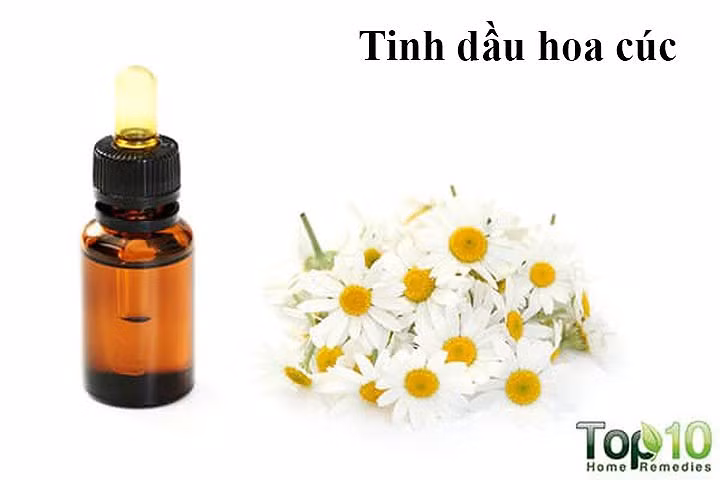 Tinh dầu hoa cúc: Dầu hoa cúc cũng có lợi cho sức khỏe tóc của bạn. Nó có thể giúp chống gàu, da đầu ngứa, viêm da, bệnh vẩy nến, các tình trạng da đầu khác và ngăn ngừa rụng tóc. Ngoài ra, vì dầu không nhờn, bạn có thể sử dụng nó thường xuyên và không phải rửa sạch.