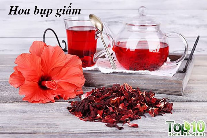 Hoa bụp giấm (Hibiscus): Từ lâu Hibiscus đã được dùng cho các lứa tuổi để quản lý huyết áp. Một nghiên cứu năm 2010 được công bố trên Tạp chí Dinh dưỡng cho thấy uống trà Hibiscus thường xuyên sẽ giúp hạ huyết áp ở người có huyết áp cao. Trong một phân tích tổng hợp năm 2015 được công bố, các nhà nghiên cứu phát hiện ra rằng uống trà Hibiscus làm giảm đáng kể cả huyết áp tâm thu và huyết áp tâm trương.