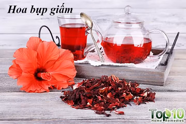 Hoa bụp giấm (Hibiscus): Từ lâu Hibiscus đã được dùng cho các lứa tuổi để quản lý huyết áp. Một nghiên cứu năm 2010 được công bố trên Tạp chí Dinh dưỡng cho thấy uống trà Hibiscus thường xuyên sẽ giúp hạ huyết áp ở người có huyết áp cao. Trong một phân tích tổng hợp năm 2015 được công bố, các nhà nghiên cứu phát hiện ra rằng uống trà Hibiscus làm giảm đáng kể cả huyết áp tâm thu và huyết áp tâm trương.