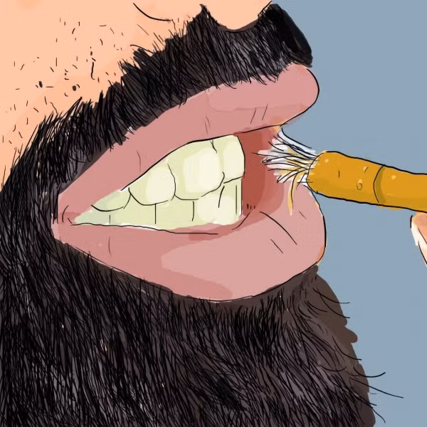 Cây gỗ nhai chính là tổ tiên của bàn chải đánh răng. Ảnh sưu tầm. Cây gỗ nhai chính là tổ tiên của bàn chải đánh răng. Ảnh sưu tầm.