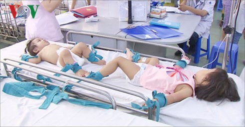 Benh tay chan mieng tang dot bien, lo ngai bung phat o TP HCM-Hinh-2