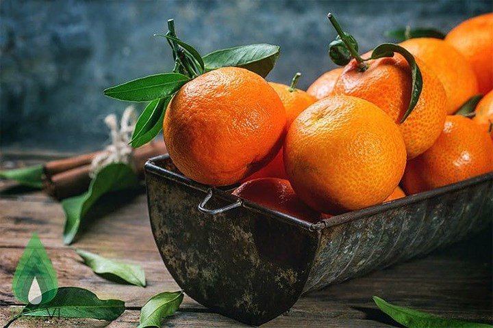 Tăng cường sức khỏe tiêu hóa: Chất xơ trong vỏ cam hỗ trợ tiêu hóa và thúc đẩy tiêu hoá đều đặn. Các nghiên cứu cũng cho thấy vỏ cam đã được sử dụng từ thời cổ đại để điều trị rối loạn tiêu hóa.