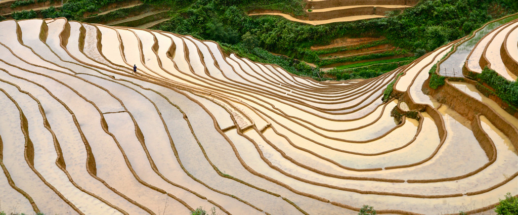 Những thửa ruộng bậc thang như khoác lên mình chiếc áo mới, lấp lánh trong sắc màu tuyệt đẹp (Ảnh Internet).