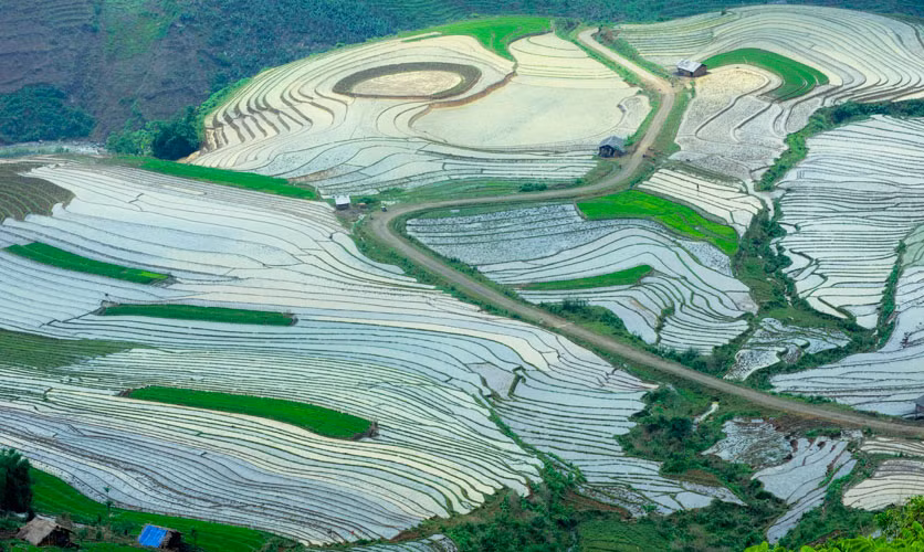 La Pán Tẩn, Chế Cu Nha, cầu Ba Nhà, bản Thái ở huyện Mù Cang Chải là những điểm du khách không thể bỏ qua vào “mùa nước đổ” (Ảnh Internet).