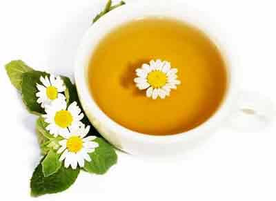 Trà hoa cúc thanh nhiệt, thông mũi, hạ huyết áp...