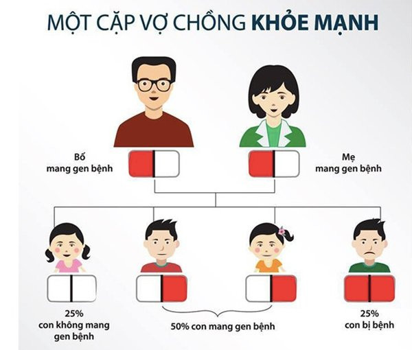 2 vợ chồng cùng mang gen lặn Thalassemia có nguy cơ sinh ra nhiều đứa trẻ bị bệnh (Vietnamnet.vn).