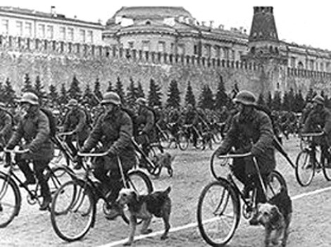 Chó chống tăng tham gia duyệt binh trên Quảng trường Đỏ.