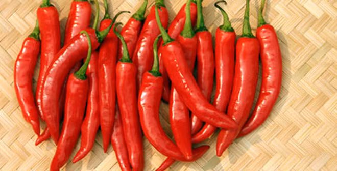 Ớt Ớt chứa capsaicin, một hợp chất tạo ra nhiệt giúp xua đuổi muỗi. Do đó hãy thêm ớt vào món ăn bạn nhé.