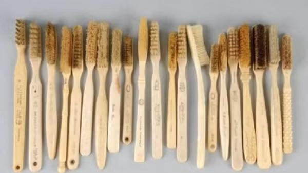 Những chiếc bàn chải được làm từ xương và lông cừu đã nhanh chóng du nhập sang Châu Âu. Ảnh sưu tầm. Những chiếc bàn chải được làm từ xương và lông cừu đã nhanh chóng du nhập sang Châu Âu. Ảnh sưu tầm.