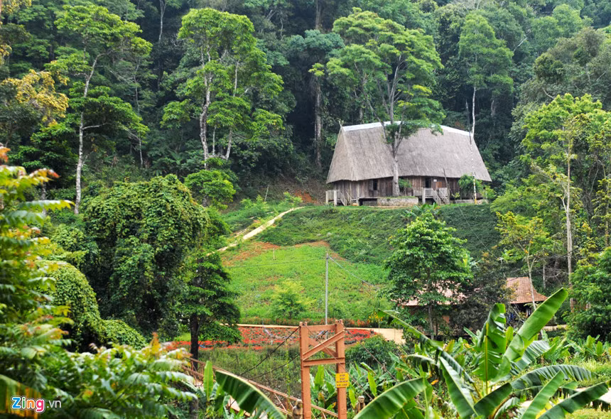 Nha giau do xo len Mang Den trong rau sach, thuoc quy-Hinh-13