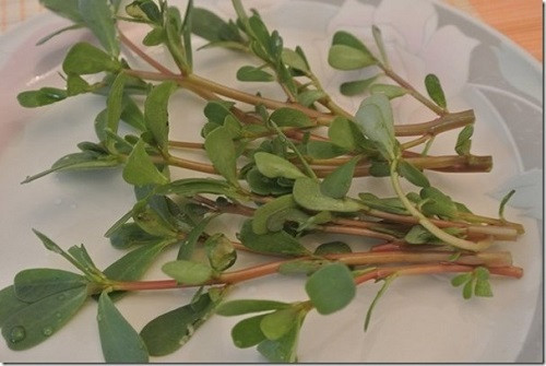 6 bai thuoc dan gian chua nuoc an chan tai nha cho nguoi dan vung lu-Hinh-3