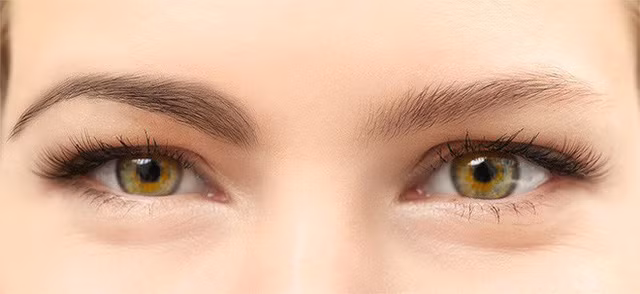  5. Tạo ảo giác về lông mày dày Để giúp lông mày trông dày và tự nhiên hơn, bạn có thể làm theo cách mà nhiều nhà trang điểm hay dùng. Sau khi vẽ lông mày bằng gel hoặc sáp, hãy lấy tay ấn chặt lông mày xuống da trước khi lớp sáp, gel kịp khô. Nét vẽ trên các sợi lông mày sẽ tạo ra những vệt mờ trên da, bổ sung cho những vùng bị kẻ mờ, từ đó khiến lông mày trông dày, tự nhiên.