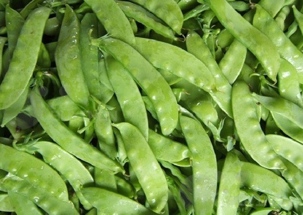 Đậu Hà Lan chứa rất nhiều vitamin và khoáng chất làm tăng chiều cao. Đậu Hà Lan cũng được biết là có chứa một vài kích thích tố tiết hormone tăng trưởng.