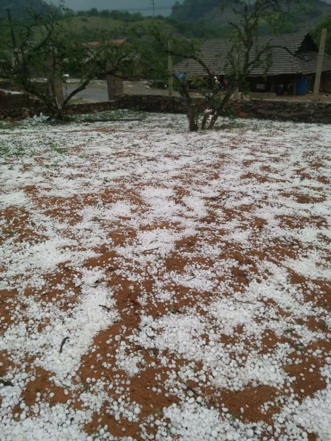 Trận mưa đá lớn đổ xuống huyện Mộc Châu vào chiều tối 14/4 vừa qua. Ảnh: Facebook Hoa Anh Túc.