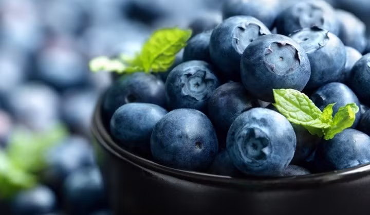  Quả việt quất giàu các chất chống oxy hóa khác nhau, cùng với các vitamin như vitamin C, B2, B6, E và K, và chất xơ, quả việt quất cũng được nạp với đồng, mangan, lutein, gallic acide,...