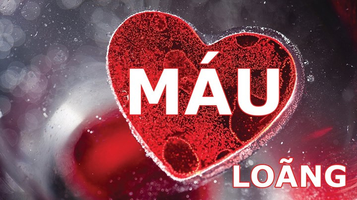 Nguy cơ chảy máu: Quả việt quất rất giàu vitamin K, chịu trách nhiệm điều hòa đông máu, cùng với việc duy trì mật độ xương. Nhưng ăn quá nhiều việt quất khiến dư thừa vitamin K. Đặc biệt đối với những bệnh nhân dùng thuốc làm loãng máu, nó có thể ảnh hưởng trực tiếp đến tác dụng của thuốc và dẫn đến nguy cơ chảy máu. Vitamin K cao trong cơ thể có thể dẫn đến khó thở, thở bất thường, phát ban da, ngất xỉu,...