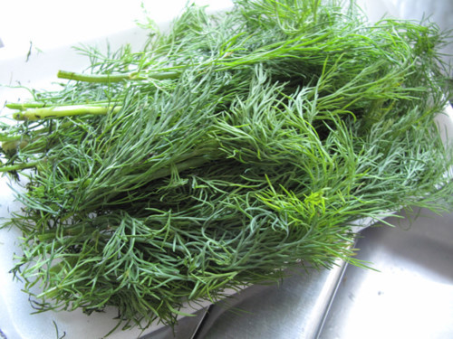 2. Hạt hoặc thân lá của cây thì là hỗ trợ tiêu hóa tốt, bởi có chứa anethole và a-xít aspartic, chống đầy hơi, khó tiêu, kích thích tiêt dịch vị.