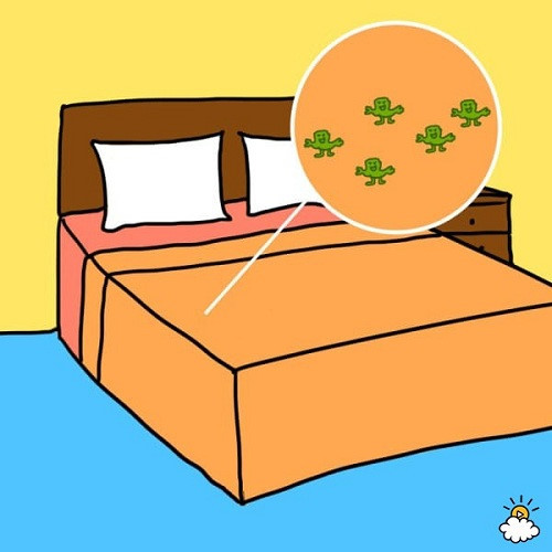  1. Nhiễm trùng Trên cơ thể mỗi người luôn tồn tại một lượng nhỏ vi khuẩn tụ cầu. Đây là loại vi khuẩn phổ biến, thường xuyên trú ngụ trên da, trong mũi và khoang miệng. Thật may mắn là với một lượng nhỏ, thì thường nó không gây ra ảnh hưởng gì nghiêm trọng đến sức khỏe của con người. Tuy nhiên, nếu bạn mặc một bộ quần áo quá lâu, vi khuẩn này sẽ tích tụ trên bộ đồ ngủ và phát triển rất nhanh. Vì vậy, khi diện tích vi khuẩn tụ cầu lan rộng và xâm nhập vào da qua lỗ chân lông, sẽ gây ảnh hưởng lớn đến sức khỏe. Hãy thường xuyên thay và giặt đồ ngủ một cách sạch sẽ, để loại bỏ những nguy hiểm từ vi khuẩn tụ cầu, tránh bị nhiễm trùng, gây đau đớn, thậm chí là nguy hiểm đến tính mạng. 