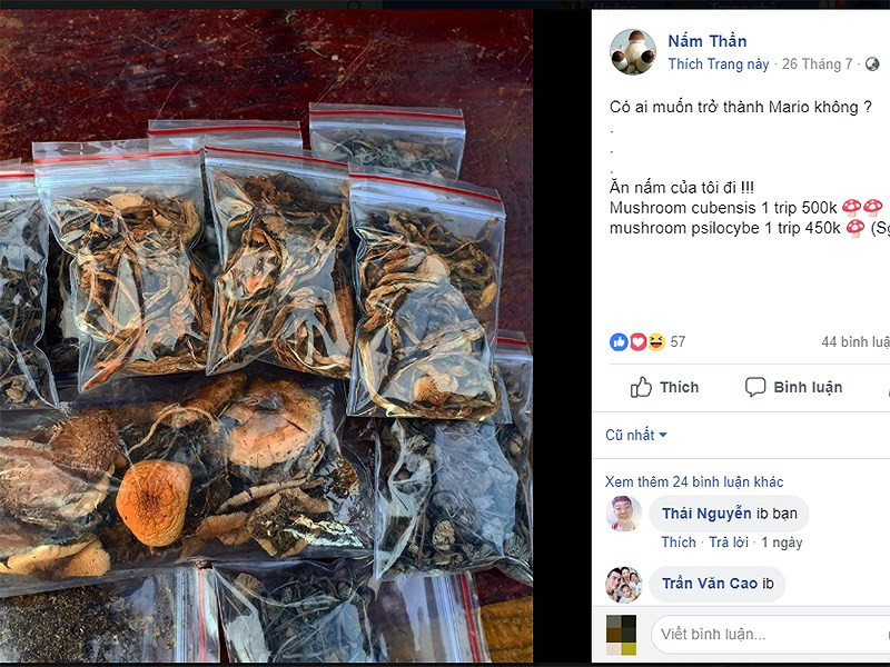 Rung minh ao giac chet nguoi cua 