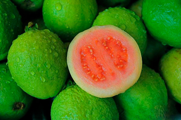 Ổi chứa hàm lượng vitamin C cao gấp 4, 5 lần cam, giúp ngăn ngừa rụng tóc hữu hiệu.