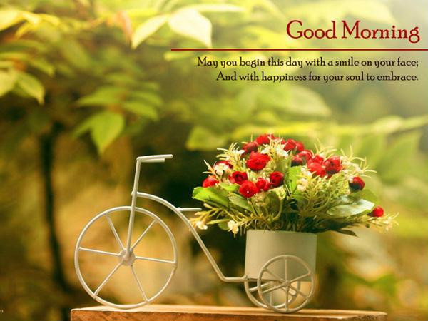 Đón chào ngày mới bằng một bản nhạc - Ảnh: Internet