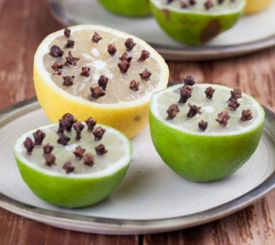 Đinh hương: Cách đơn giản nhất là đặt một vài nắm đinh hương vào tấm vải thưa, hoặc nửa quả chanh, sau đó treo tấm này gần cửa ra vào hoặc cửa sổ, hoặc những nơi có nhiều ruồi.