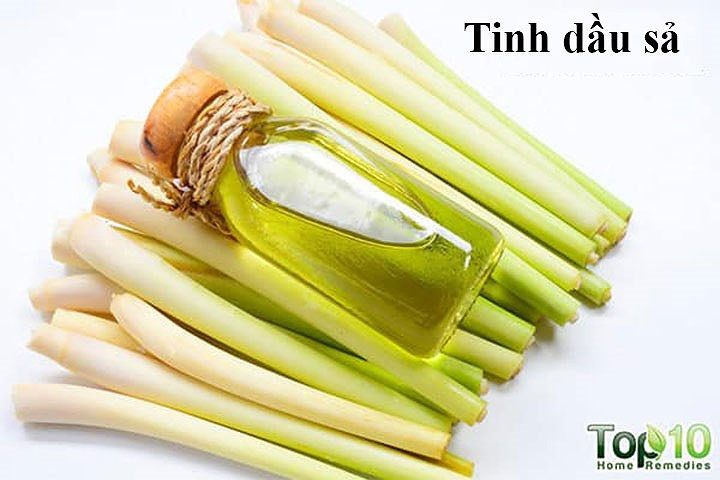 Tinh dầu sả: Gàu có thể gây rụng tóc và ngứa quá nhiều trên da đầu. Để giải quyết những vấn đề này, tinh dầu sả rất hiệu quả. Do đặc tính kháng khuẩn, sát trùng và kháng nấm của nó, sả giúp hạn chế sự phát triển của vi khuẩn trên da đầu. Điều này sẽ giúp giữ cho da đầu của bạn không bị gàu và tránh các vấn đề về da đầu khác.