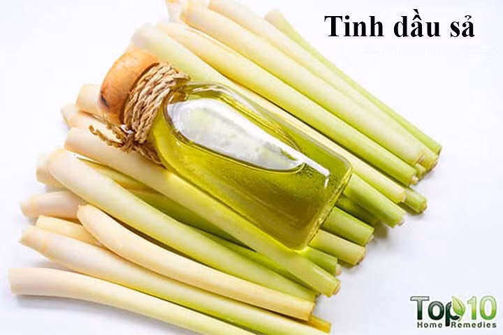 Tinh dầu sả: Gàu có thể gây rụng tóc và ngứa quá nhiều trên da đầu. Để giải quyết những vấn đề này, tinh dầu sả rất hiệu quả. Do đặc tính kháng khuẩn, sát trùng và kháng nấm của nó, sả giúp hạn chế sự phát triển của vi khuẩn trên da đầu. Điều này sẽ giúp giữ cho da đầu của bạn không bị gàu và tránh các vấn đề về da đầu khác.