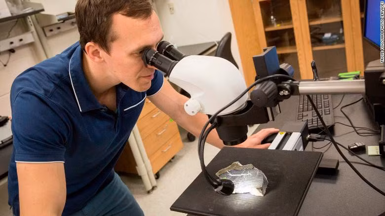 Trong mùa hè vừa qua tại Nam Cực, nhà địa chất Erik Gulbranson và một nhóm các nhà khoa học nổi tiếng đã tìm được những mẩu hóa thạch cho thấy sự tồn tại của một khu rừng tại Nam Cực từ hàng trăm triệu năm trước, trước cả khi khủng long xuất hiện trên Trái Đất. Ảnh: CNN.