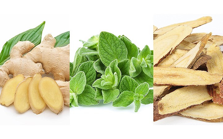 Các loại thực phẩm tự nhiên ngăn ngừa cục máu đông Salicylates: Đây là những hợp chất ức chế đông máu, thường có trong một số loại thảo mộc và gia vị như ớt, nghệ, húng tây, cam thảo, gừng và bạc hà. Một số loại quả cũng chứa salicylat là dứa, nho, quả mọng, mận, cam, ô liu, cà chua,...