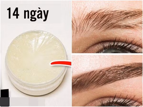 Dùng dầu thầu dầu pha với dầu dừa thành hỗn hợp giúp lông mày dày và đẹp hơn. Dùng dầu thầu dầu pha với dầu dừa thành hỗn hợp giúp lông mày dày và đẹp hơn.